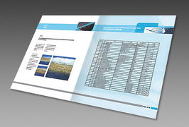上海瑭晟環(huán)保技術產(chǎn)品畫冊與浙江中建網(wǎng)絡科技股份 專業(yè)網(wǎng)站建設服務指南